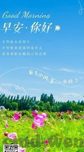 美国导航足球比分网-探秘美国导航足球比分网，足球迷的数字指南针与数据宝藏库