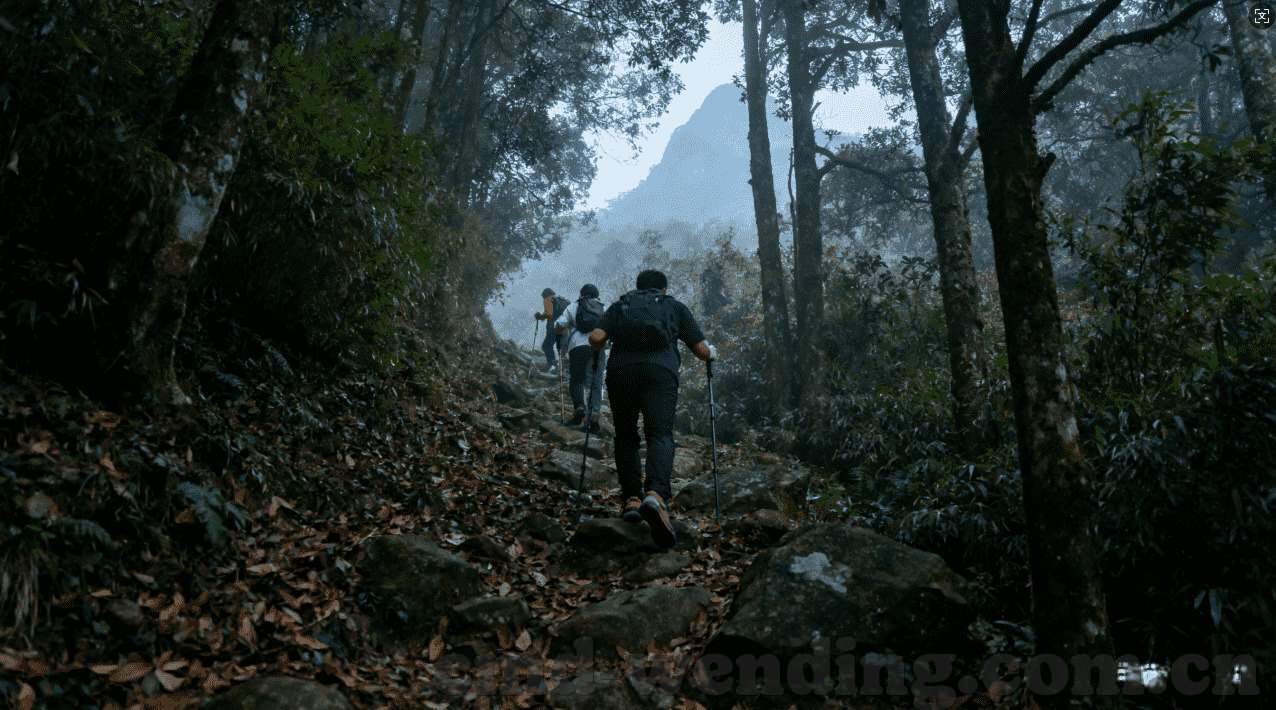 抢庄牛牛有没有破解版-抢庄牛牛游戏策略与公平性探讨