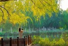 足球现场体育比分直播-从绿茵场到指尖，足球现场体育比分直播的进化史与未来图景